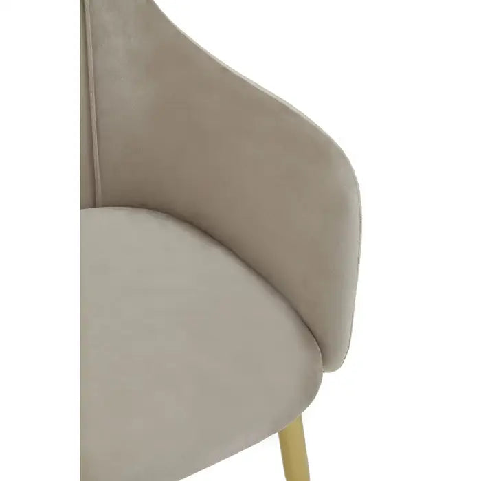 Mink Velvet Dining Chair