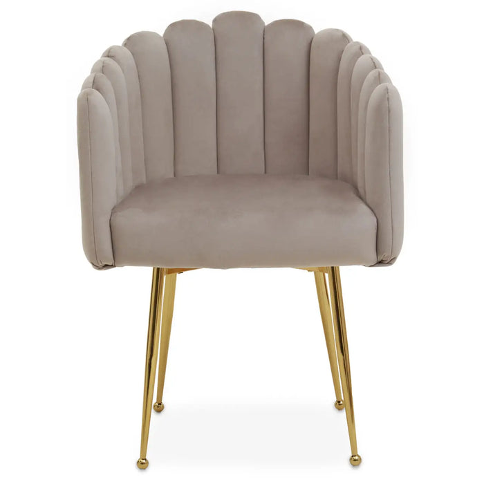 Shell Mink Velvet Dining Chair