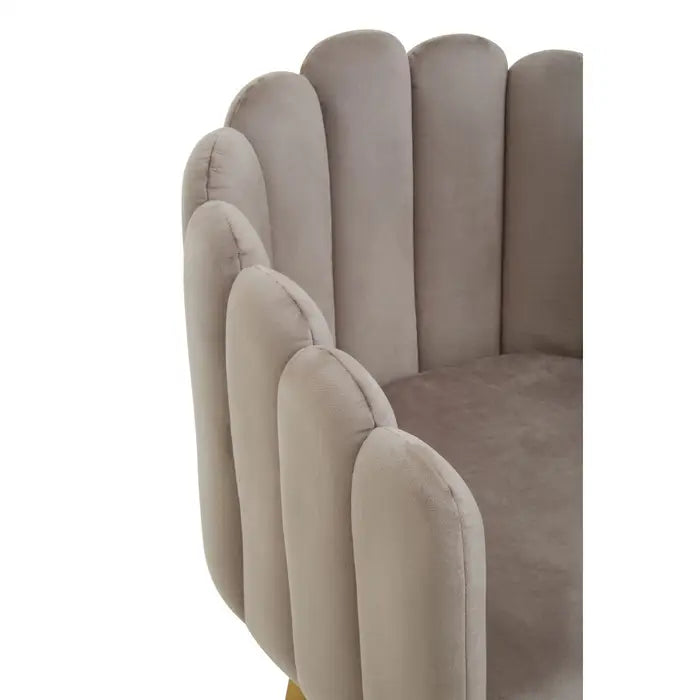 Shell Mink Velvet Dining Chair