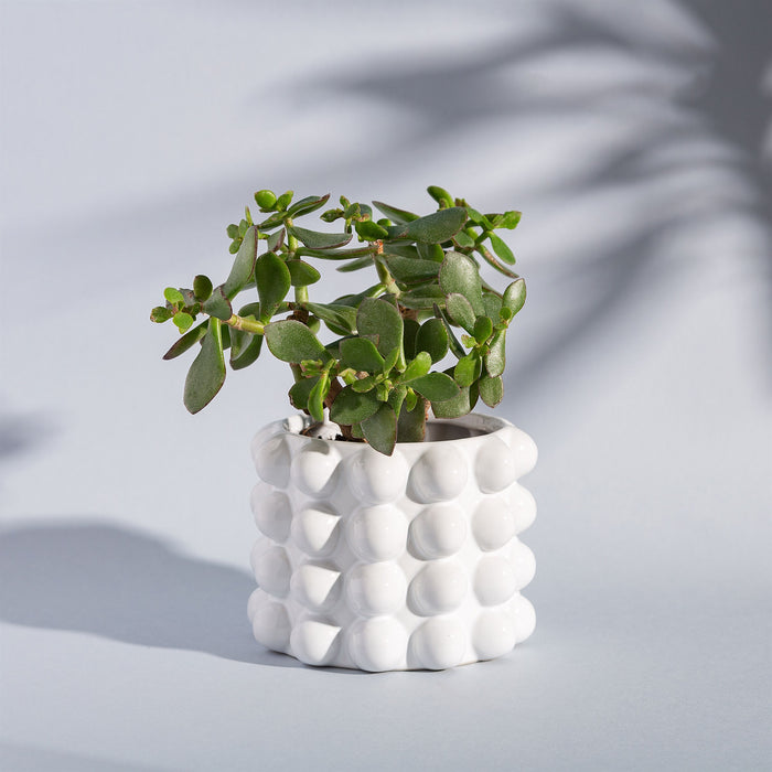 White Bobble Planter