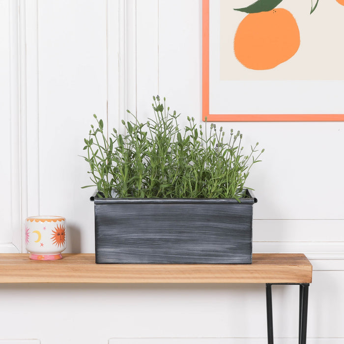 Roll Top Weathered Iron Style Metal Planter - Available in 8 Sizes