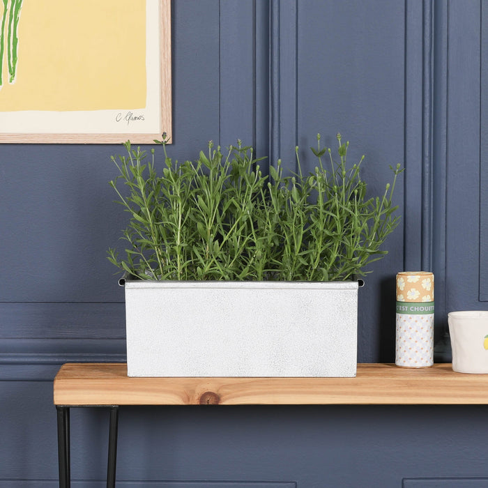 Roll Top White Wash Metal Planter - Available in 8 Sizes