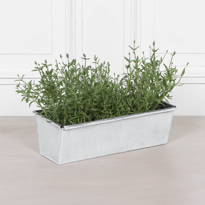 Roll Top White Wash Metal Planter - Available in 8 Sizes