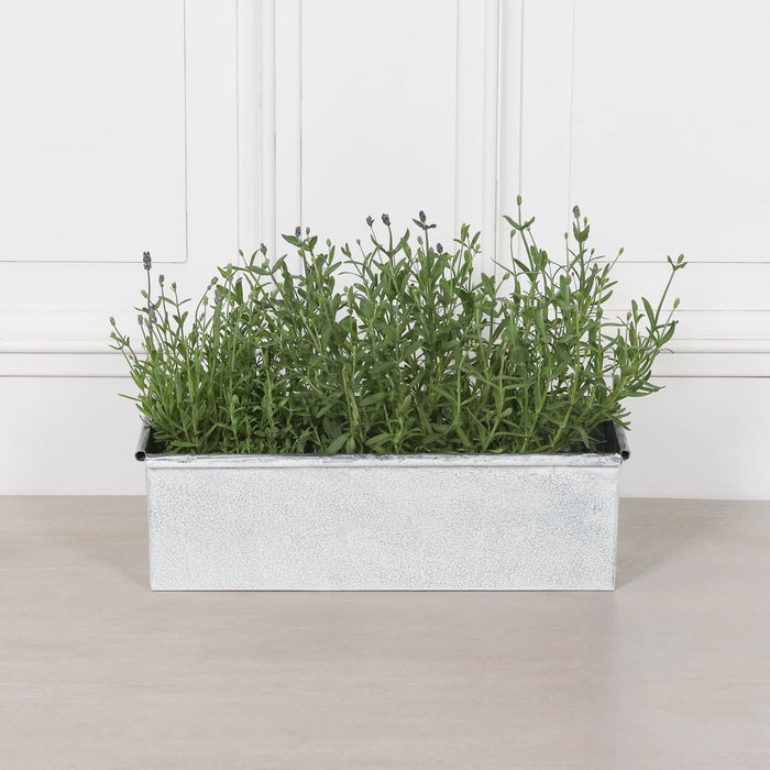 Roll Top White Wash Metal Planter - Available in 8 Sizes