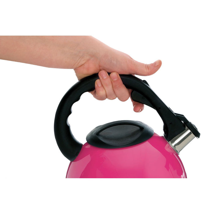 Kitchen Essentials Stainless Steel Whistling Kettle - 2.5L