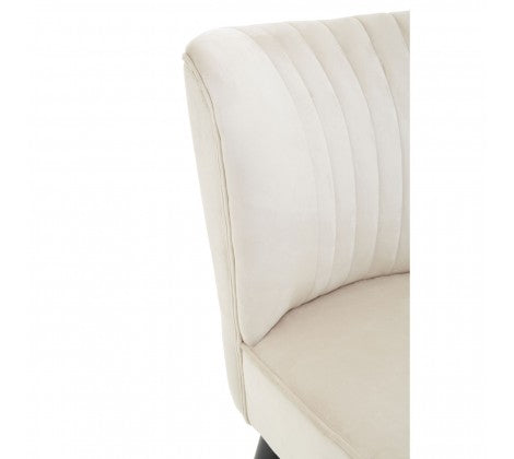 Regents Park Mink Velvet Chair - Modern Home Interiors