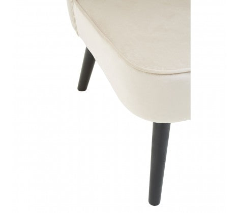 Regents Park Mink Velvet Chair - Modern Home Interiors