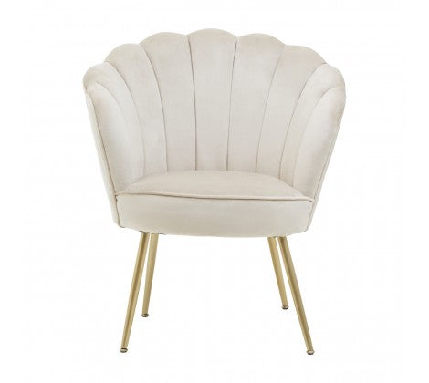 Ovala Mink Velvet Scalloped Shell Chair - Modern Home Interiors