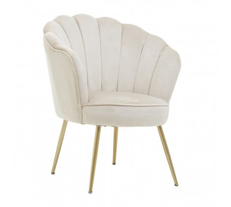 Ovala Mink Velvet Scalloped Shell Chair - Modern Home Interiors