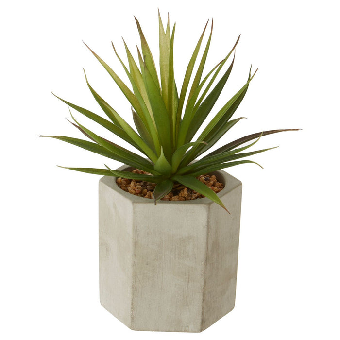 Fiori Sword Grass Plant - Modern Home Interiors