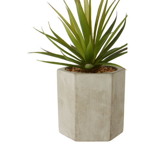 Fiori Sword Grass Plant - Modern Home Interiors