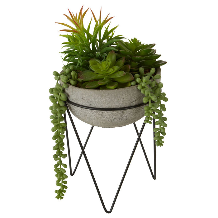 Fiori Mixed Succulent with Metal Stand - Modern Home Interiors