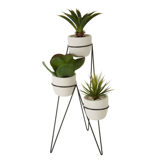 Fiori Set of 3 Succulents with Metal Stand - Modern Home Interiors