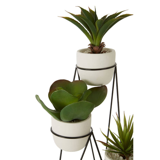 Fiori Set of 3 Succulents with Metal Stand - Modern Home Interiors