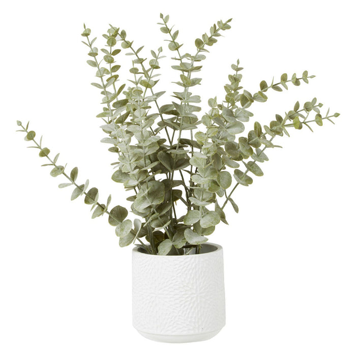 Fiori Eucalyptus with White Pot - Modern Home Interiors