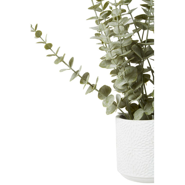 Fiori Eucalyptus with White Pot - Modern Home Interiors