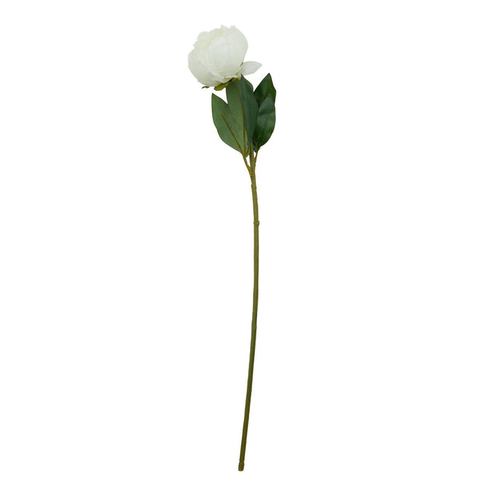 Fiori Peony Stem White Pink Flower - 65cm - Modern Home Interiors