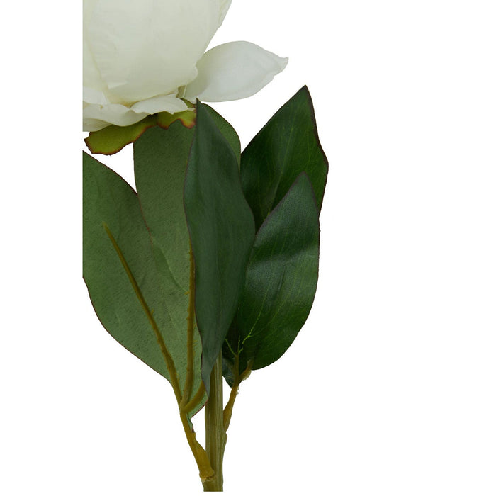 Fiori Peony Stem White Pink Flower - 65cm - Modern Home Interiors