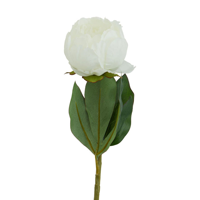 Fiori Peony Stem White Pink Flower - 65cm - Modern Home Interiors