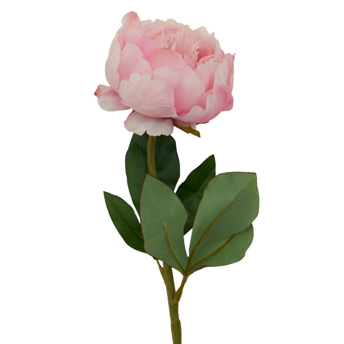 Fiori Peony Stem Pink Flower - 65cm - Modern Home Interiors