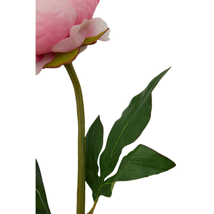 Fiori Peony Stem Pink Flower - 65cm - Modern Home Interiors