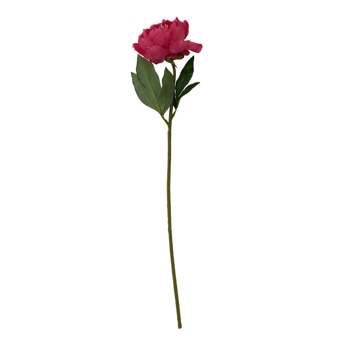 Fiori Peony Stem Fuchsia Flower - 65cm - Modern Home Interiors