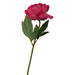 Fiori Peony Stem Fuchsia Flower - 65cm - Modern Home Interiors