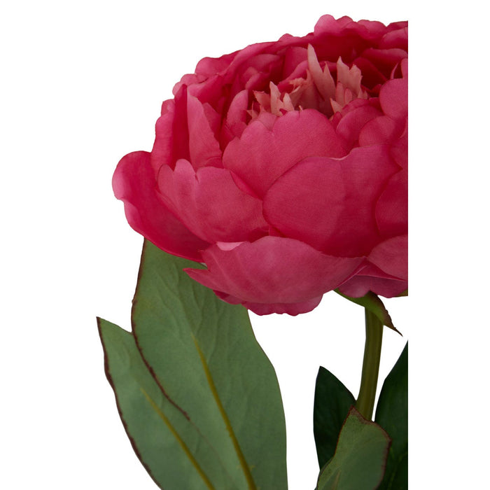 Fiori Peony Stem Fuchsia Flower - 65cm - Modern Home Interiors