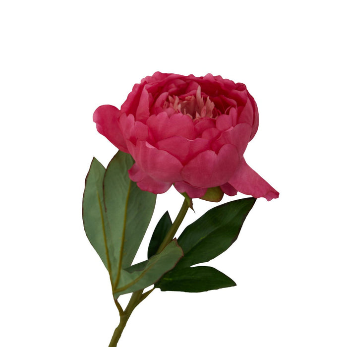 Fiori Peony Stem Fuchsia Flower - 65cm - Modern Home Interiors