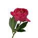 Fiori Peony Stem Fuchsia Flower - 65cm - Modern Home Interiors