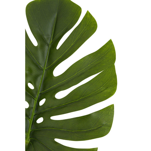 Fiori Green Stem Monstera Palm - 109cm - Modern Home Interiors