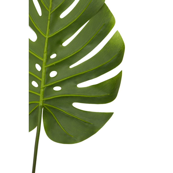 Fiori Green Stem Monstera Palm - 109cm - Modern Home Interiors