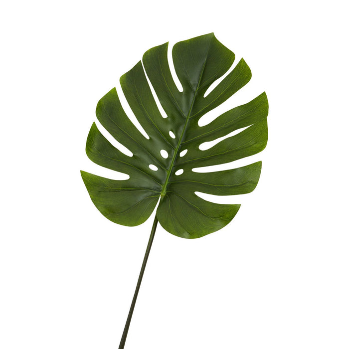 Fiori Green Stem Monstera Palm - 109cm - Modern Home Interiors