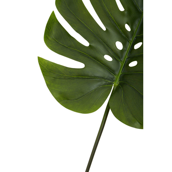 Fiori Green Stem Monstera Palm - 109cm - Modern Home Interiors