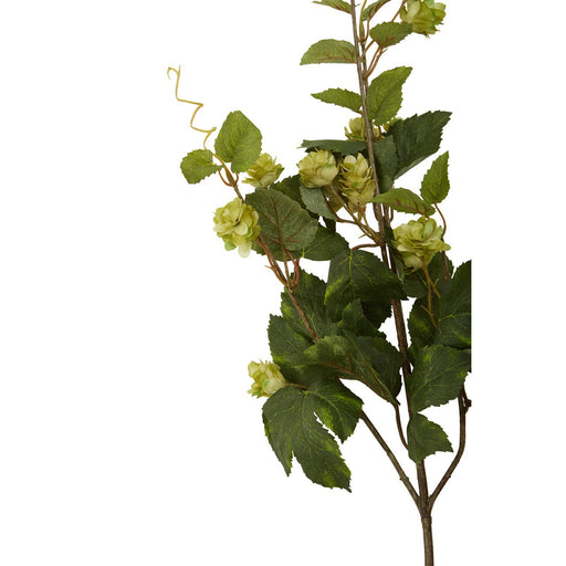 Fiori Pale Lime Hops - 88cm - Modern Home Interiors