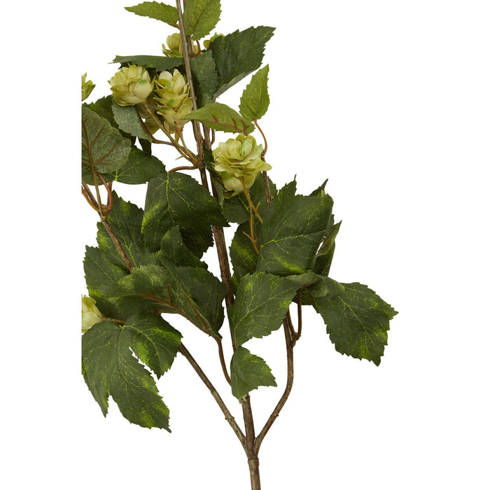 Fiori Pale Lime Hops - 88cm - Modern Home Interiors