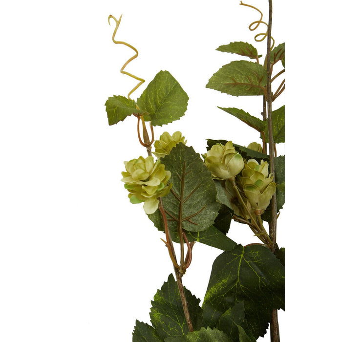 Fiori Pale Lime Hops - 88cm - Modern Home Interiors