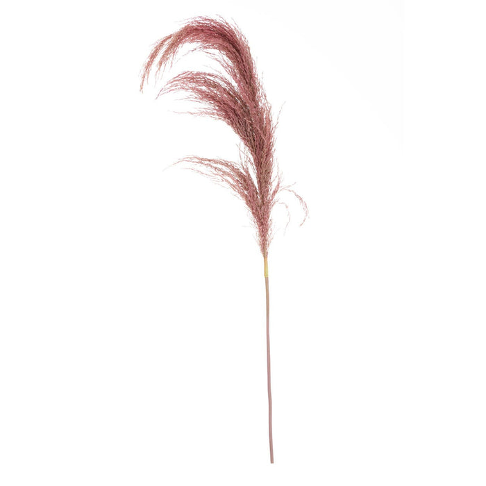 Fiori Pampas Grass Pink Stem - Modern Home Interiors