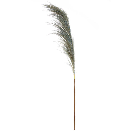 Fiori Pampas Grass Blue Stem - Modern Home Interiors