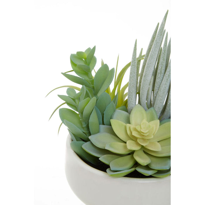 Fiori Mixed Succulents in Large Ceramic Pot - Modern Home Interiors