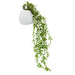 Fiori Trailing Ivy - Modern Home Interiors