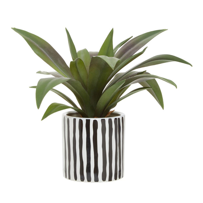 Fiori Agave in Ceramic Pot - Modern Home Interiors