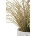 Fiori Grass Plant - Modern Home Interiors