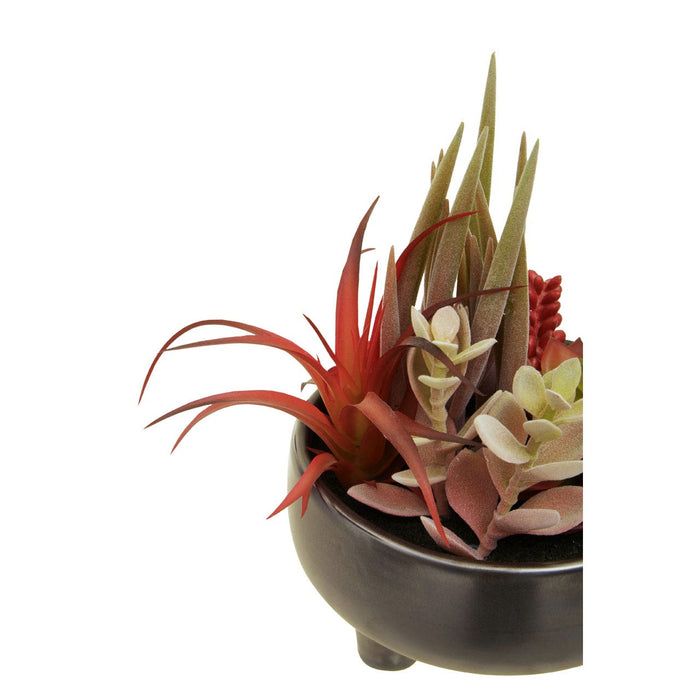 Fiori Mixed Succulents in Grey Ceramic Pot - Modern Home Interiors