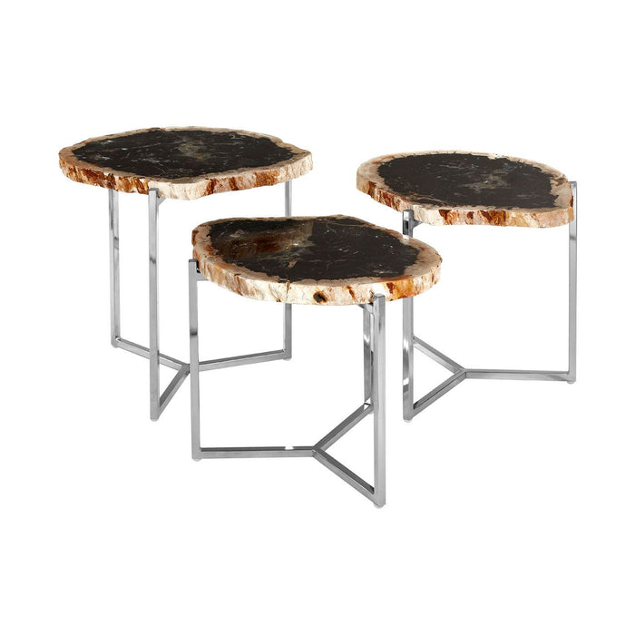 Relic Set of 3 Dark Petrified Wood Tables - Modern Home Interiors