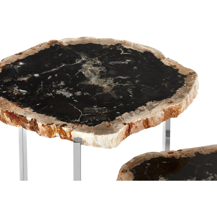 Relic Set of 3 Dark Petrified Wood Tables - Modern Home Interiors