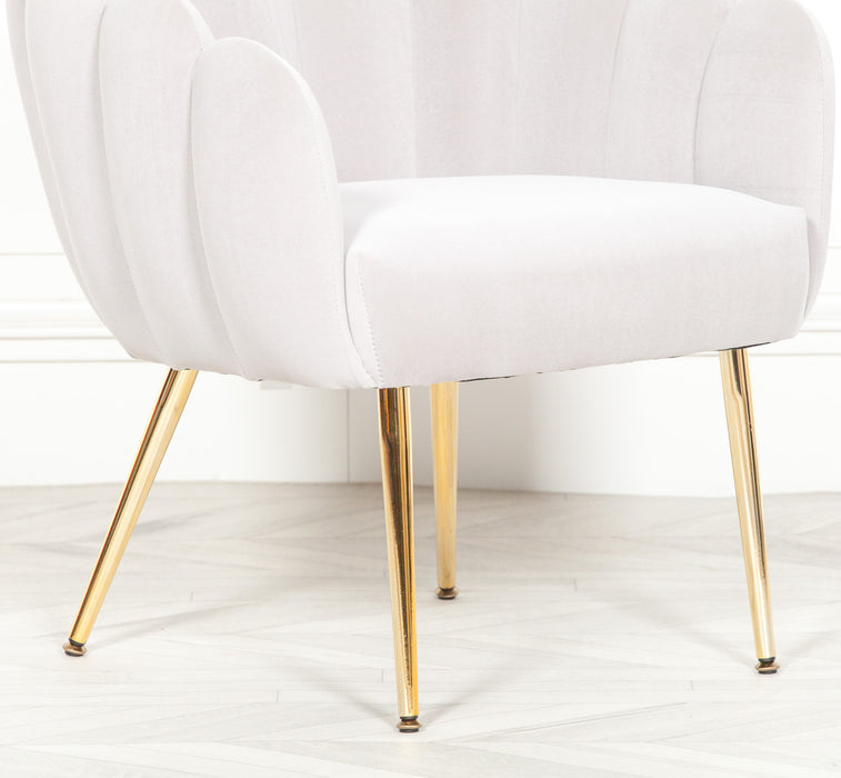 Deco Grey Velvet Accent/ Dining Chair with Gold Legs - Modern Home Interiors