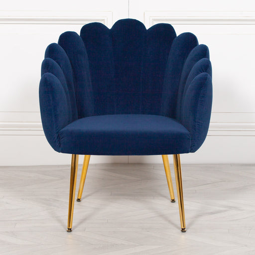 Deco Blue Velvet Accent/ Dining Chair with Gold Legs - Modern Home Interiors