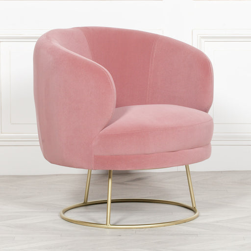 Deco Pink Velvet Armchair with Gold Legs - Modern Home Interiors