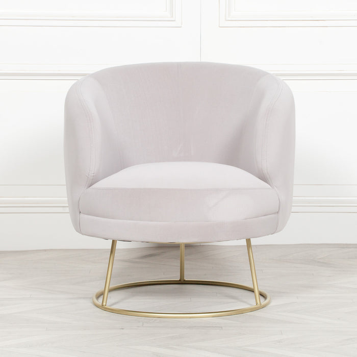 Deco Grey Velvet Armchair with Gold Legs - Modern Home Interiors